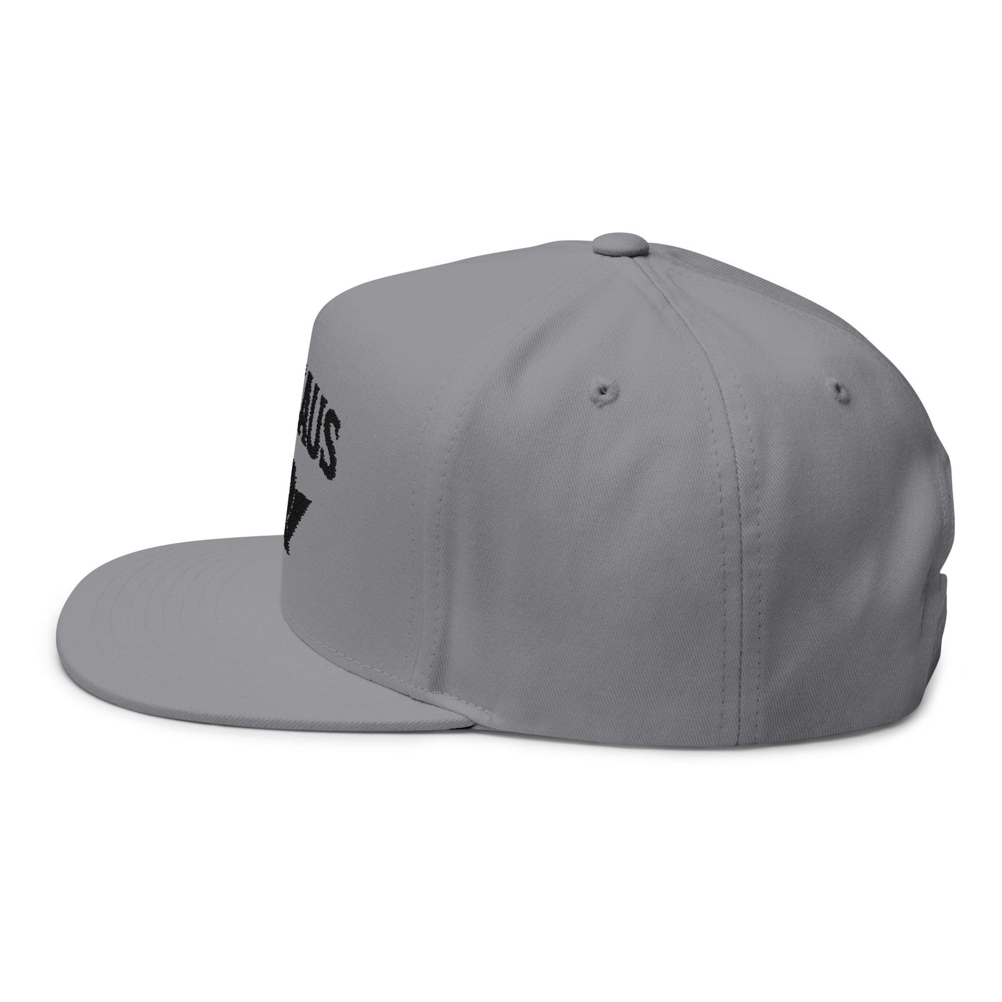 Revhaus Embroidered Flat Bill Cap