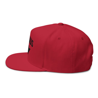 Revhaus Embroidered Flat Bill Cap